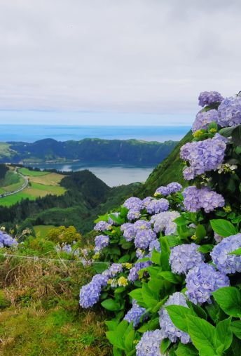 Attēls - Lielais Azoru salu ceļojums