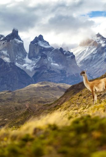 Attēls - Čīle - no Patagonijas ledājiem līdz Atakamas virsotnēm