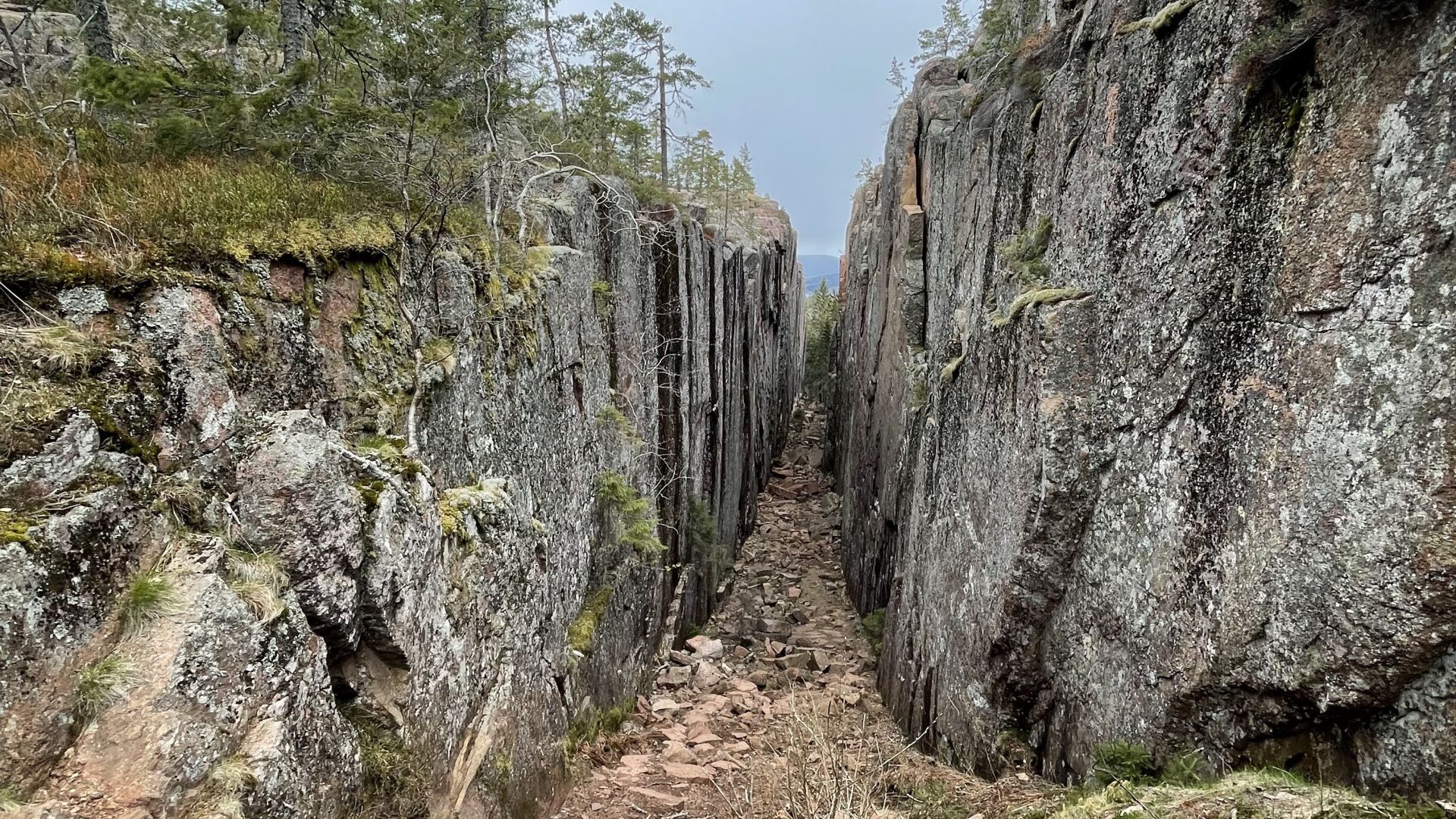Galerija High Coast Trail pārgājiens Zviedrijā (5)