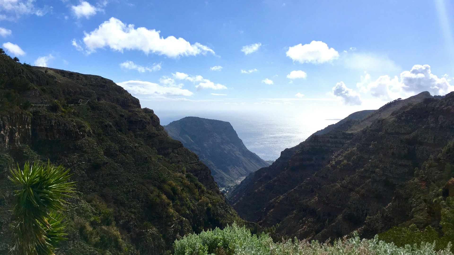 Galerija Kanāriju salu piedzīvojums (2)