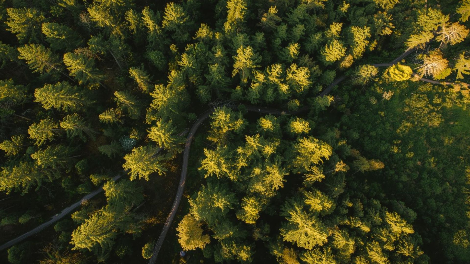 Galerija Zebrus rūdījums 2026 (1)