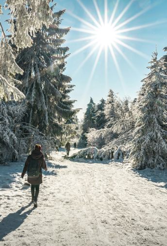 Attēls - Veclaicenes spalgonis - Latvijas izaicinājums 2025