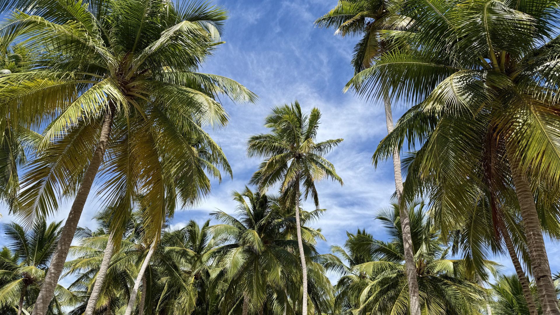 Galerija Urugvajas, Paragvajas, Argentīnas, Brazīlijas un Dominikānas piedzīvojums (1)