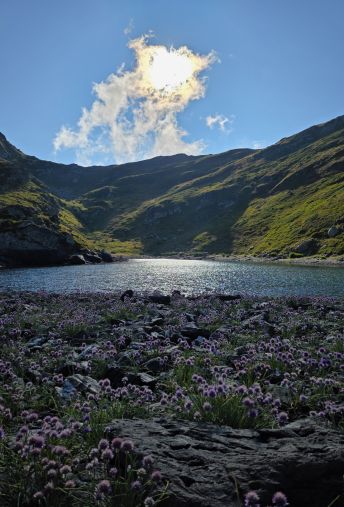 Attēls - Balkānu Izaicinājums