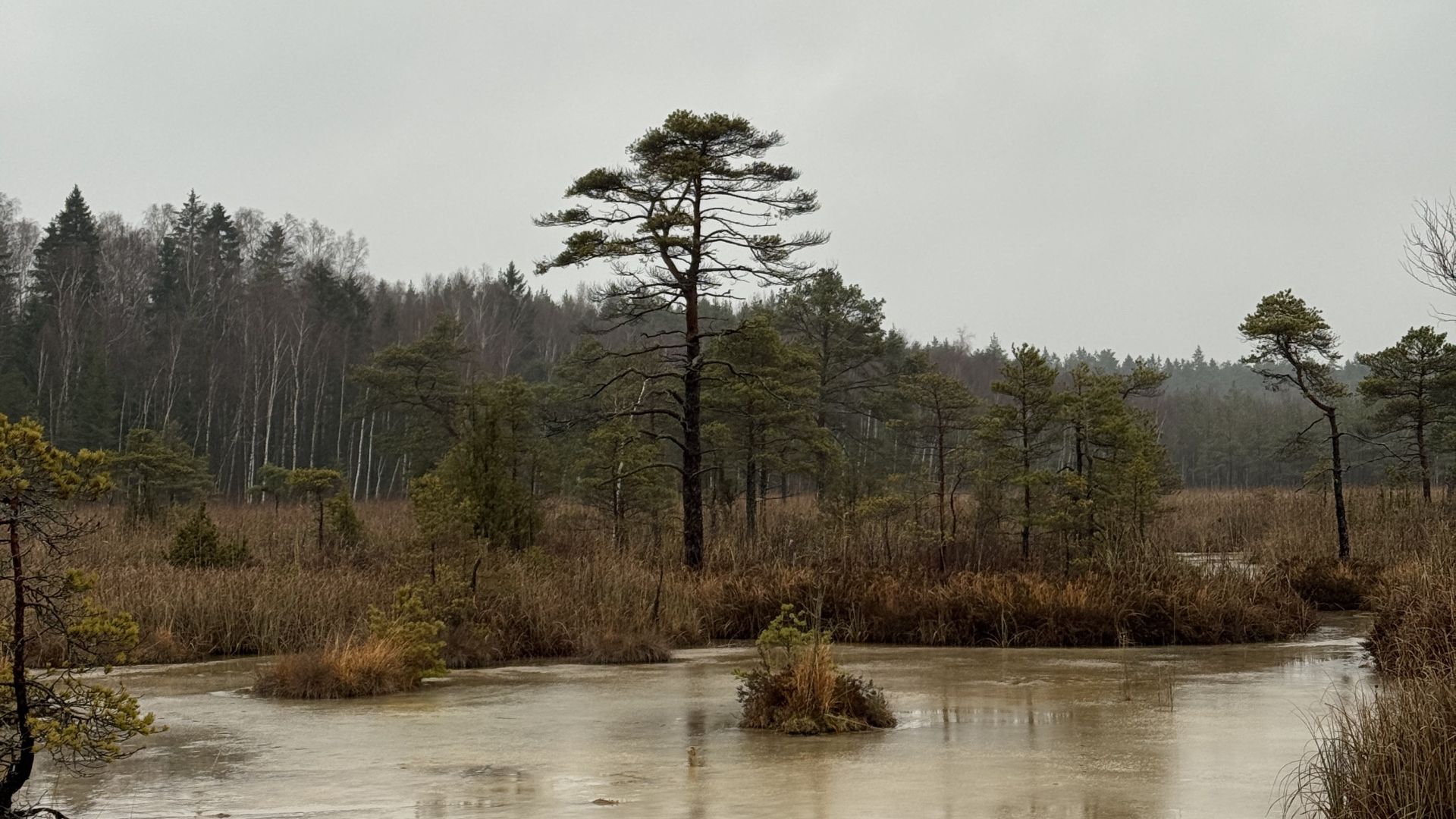 Galerija ROVER akadēmija (5)