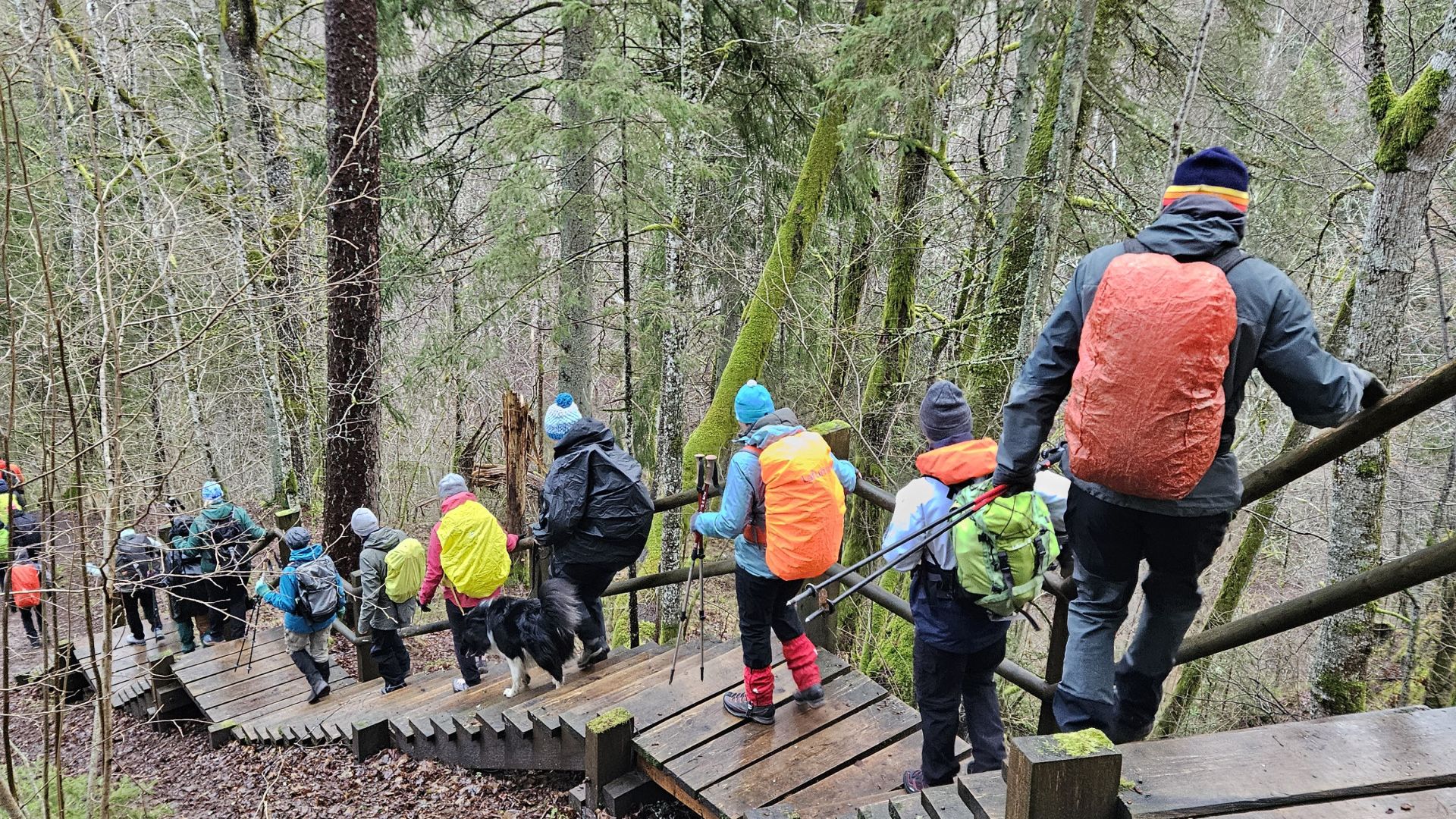 Galerija ROVER akadēmija (2)