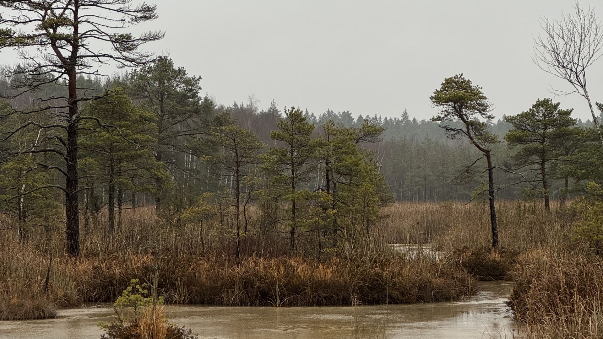 Galerija ROVER akadēmija (3)