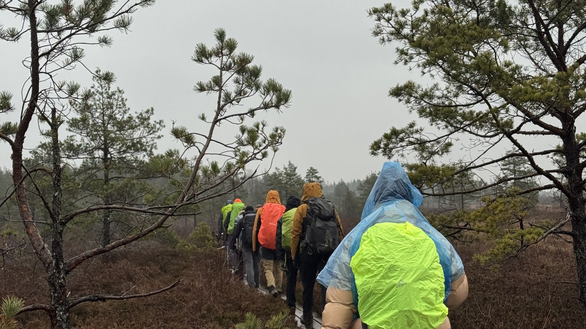 Galerija ROVER akadēmija (4)