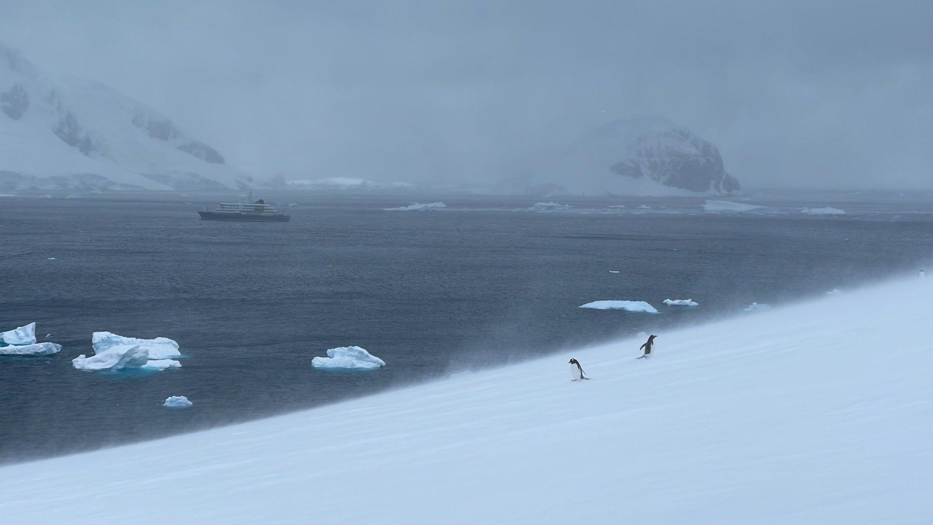 Galerija Antarktīdas Misija (4)