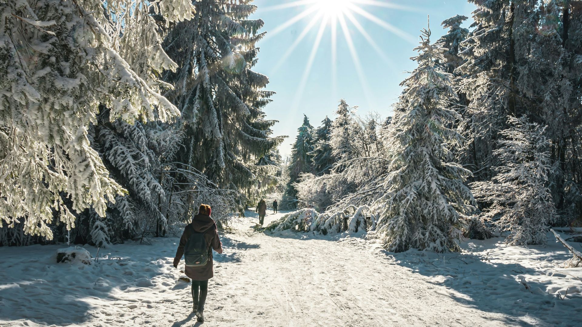 Galerija Ērgļu pilota noslēpums - Latvijas Izaicinājums 2025 (5)