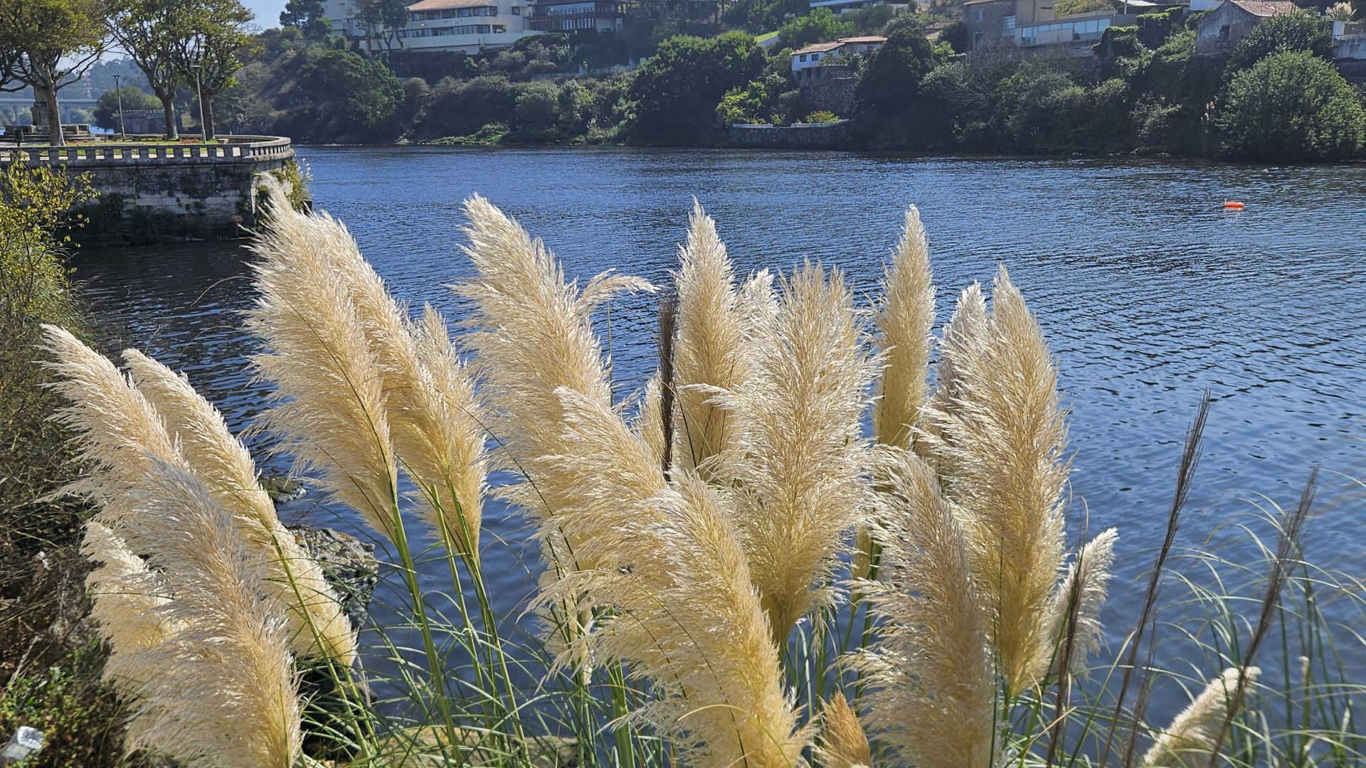 Galerija Santjago ceļš Portuges (Central route) (4)