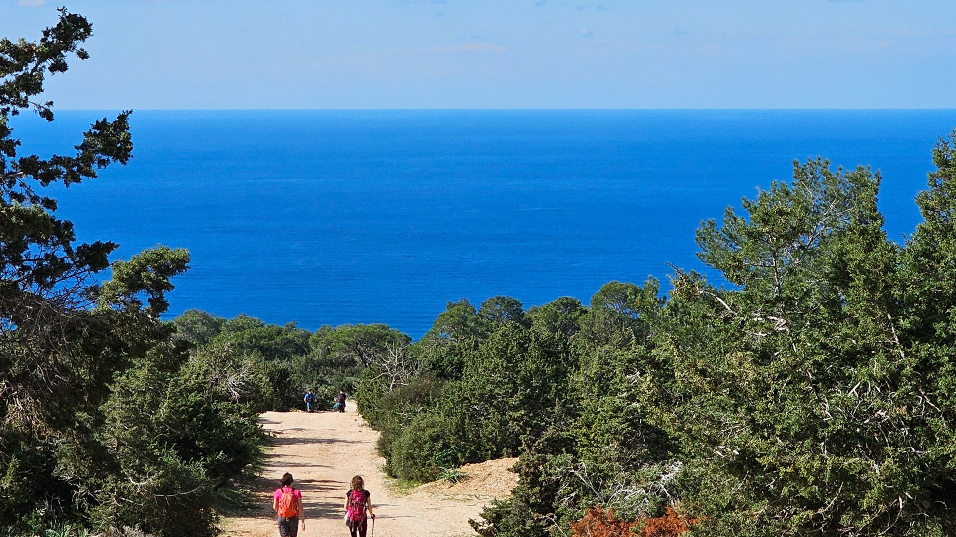 Galerija Vasaras piedzīvojums Kiprā (1)