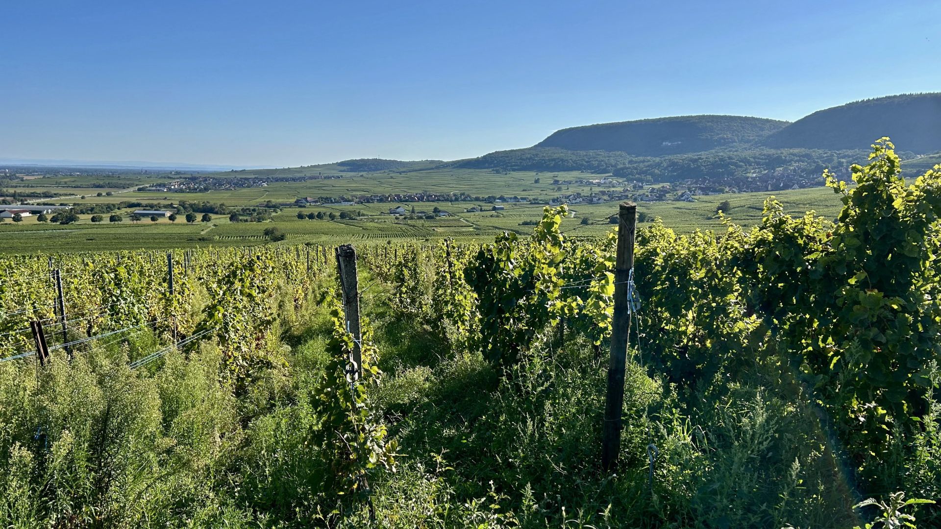 Galerija Francijas Elzasas piedzīvojums (4)