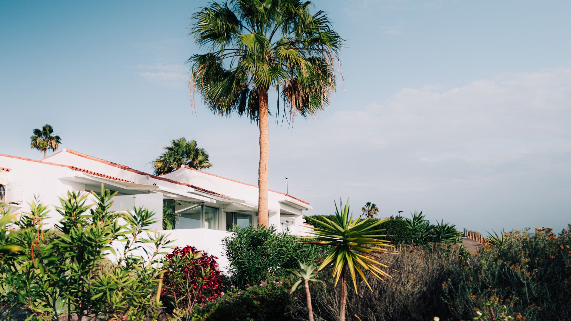 Galerija Tenerifes Izaicinājums (Vulkāns Teide) (4)