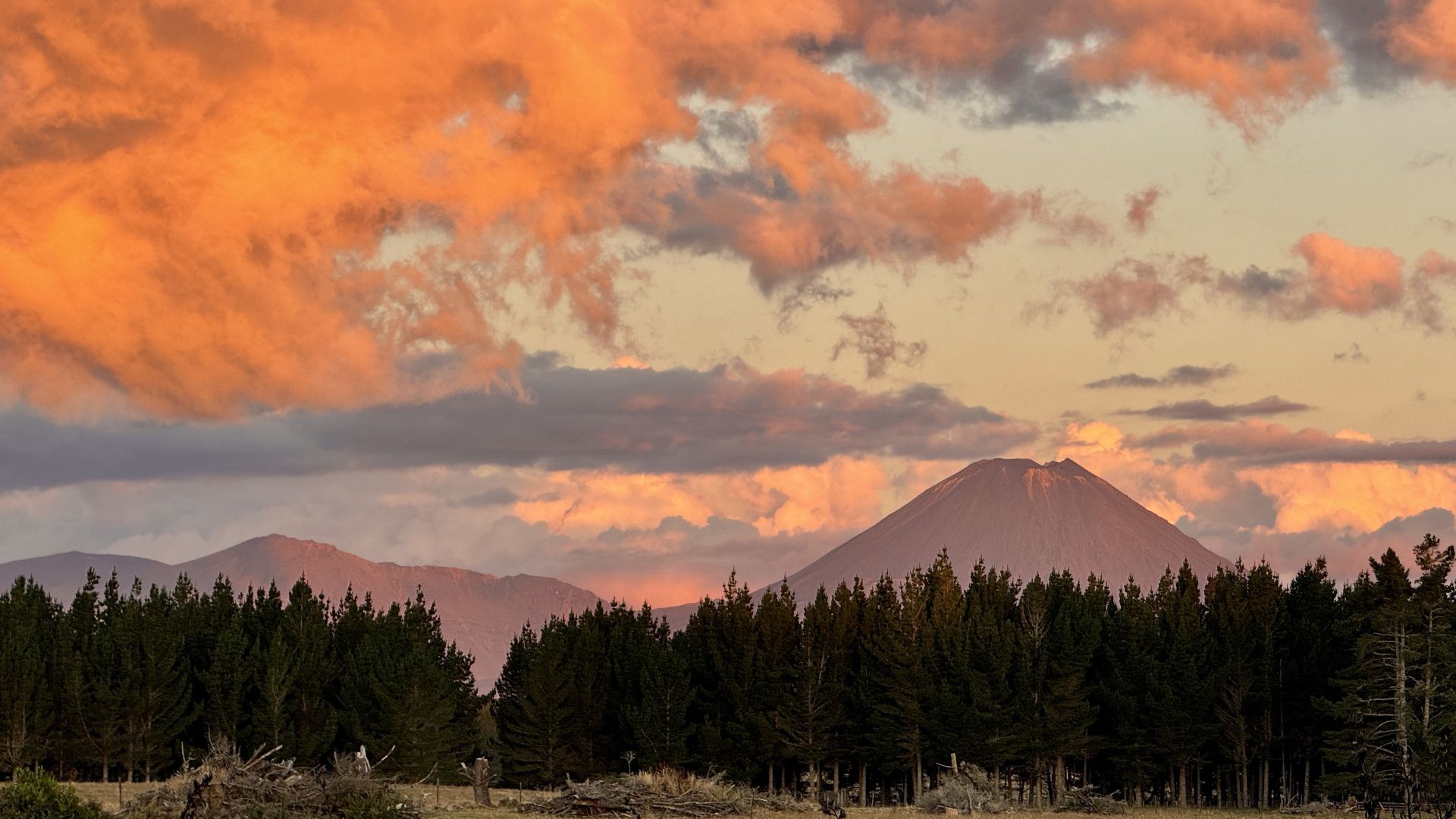 Galerija Piedzīvojums Jaunzēlandē JU (0)