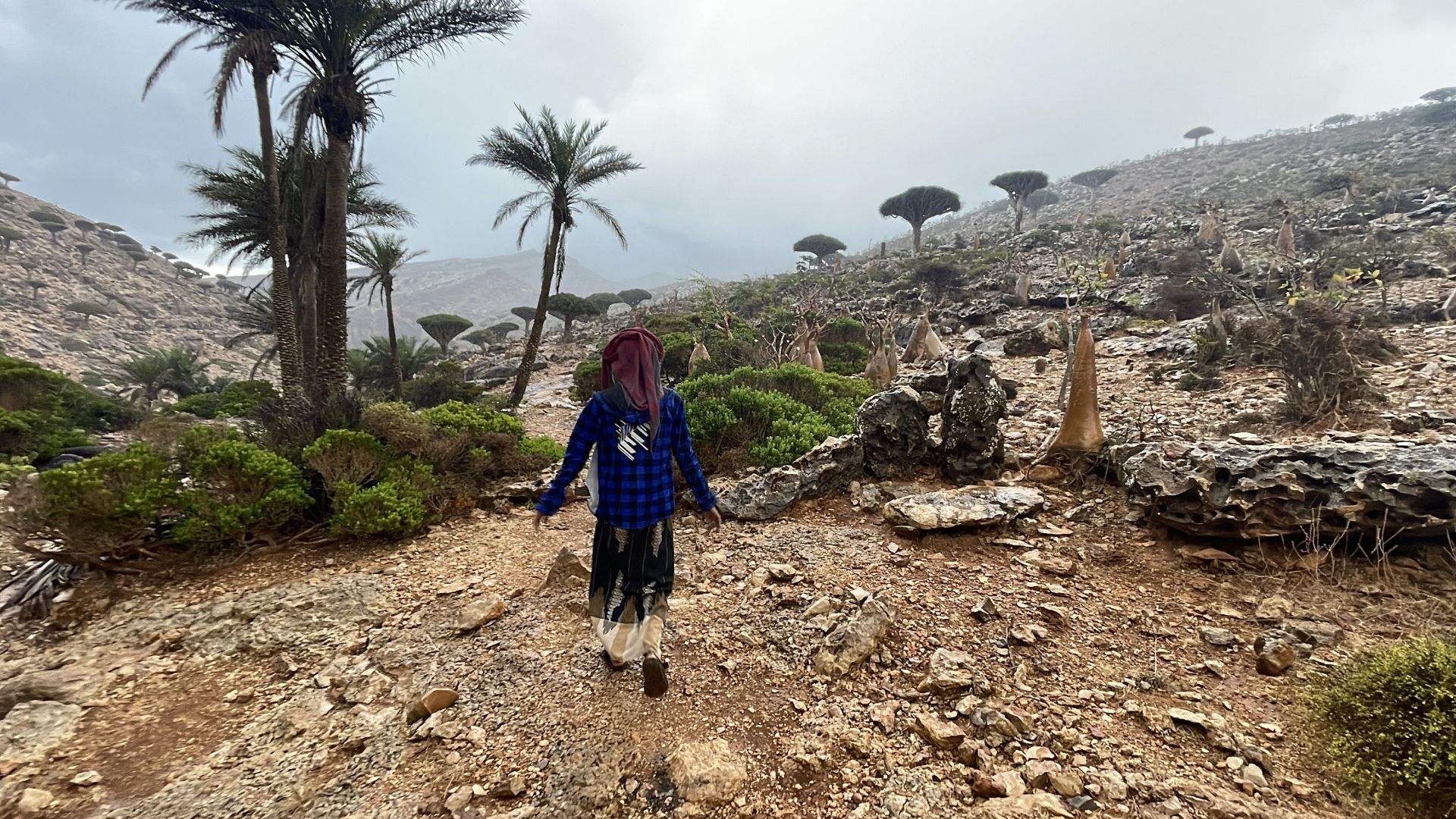 Galerija Piedzīvojums Sokotrā (Jemena) (1)