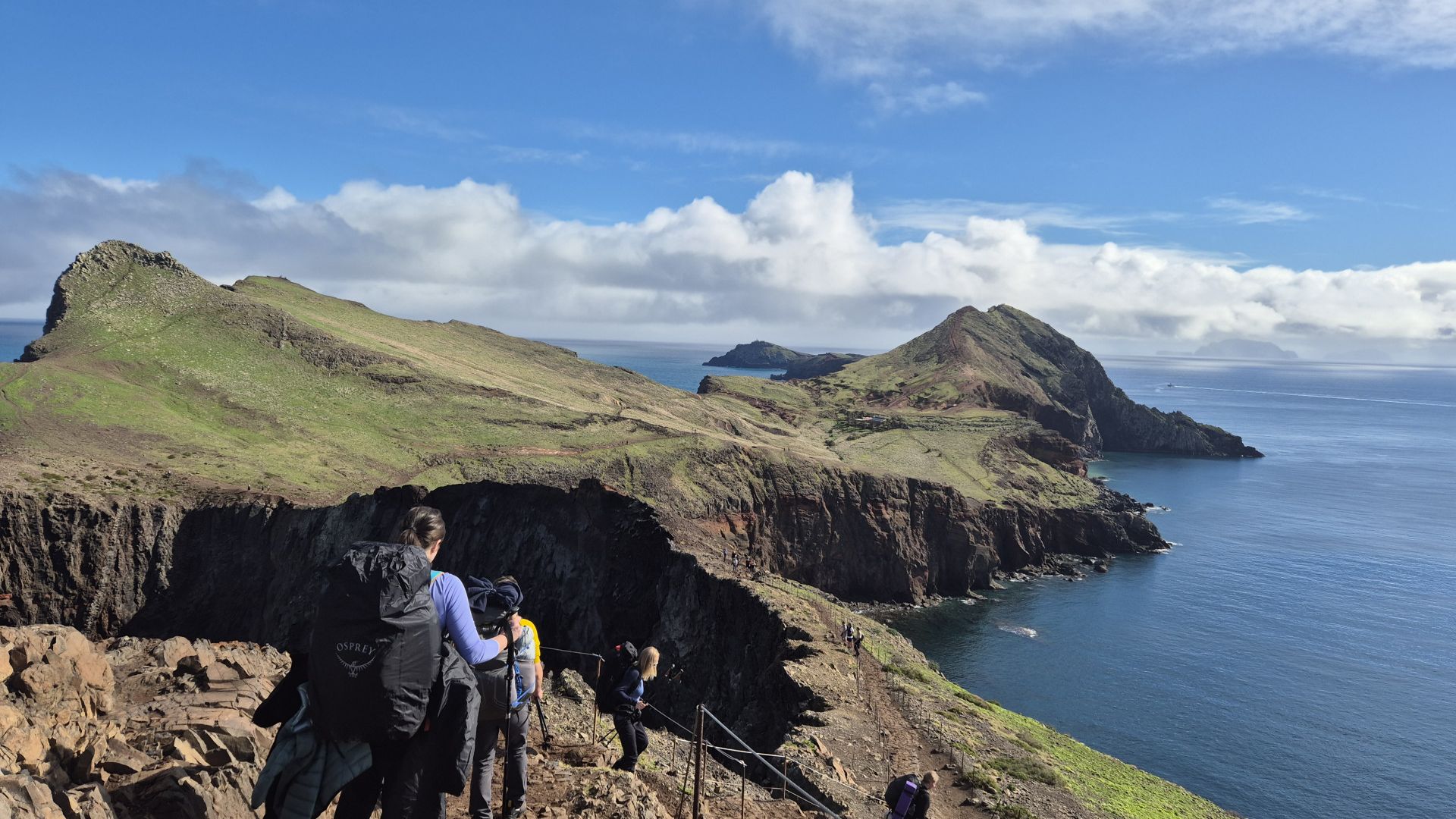 Galerija Madeiras savvaļā (2)