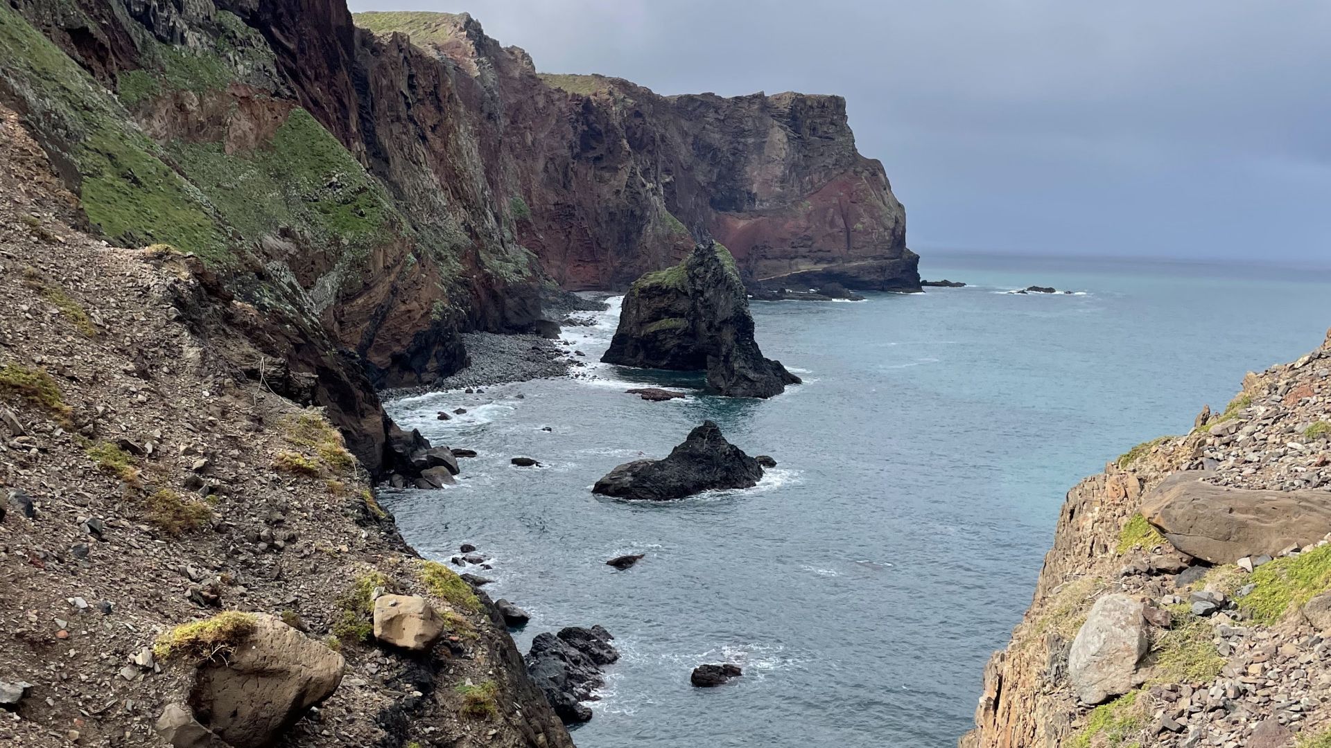 Galerija Madeiras savvaļā (5)