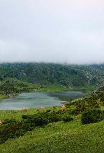 Attēls - Astūrijas Getaway Lieldienās