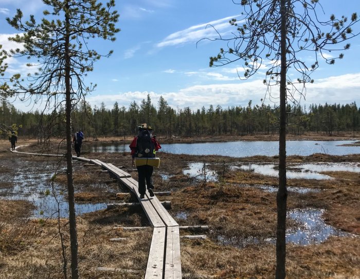Lielā Lāča taka Somijā (Karhunkierros)