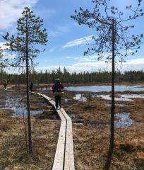 Lielā Lāča taka Somijā (Karhunkierros)